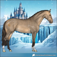 Horse Color:Buckskin Dun 