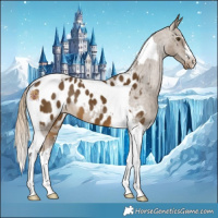 Horse Color:Chocolate Palomino Mushroom Tobiano Blanket 