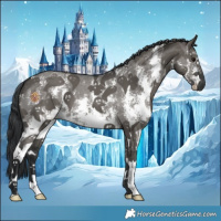 Horse Color:Grullo Mushroom Sabino 