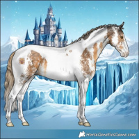 Horse Color:Chocolate Palomino Sabino Tobiano