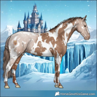 Horse Color:White Spotted Classic Champagne Tobiano Varnish 