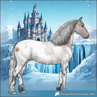 Horse Color:White Spotted Silver Brown Appaloosa Rabicano 