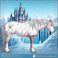 Horse Color:Watercolor White Spotted Buckskin Appaloosa 