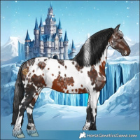 Horse Color:White Spotted Brown Ice 