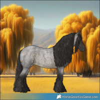 Horse Color:Buckskin Roan 