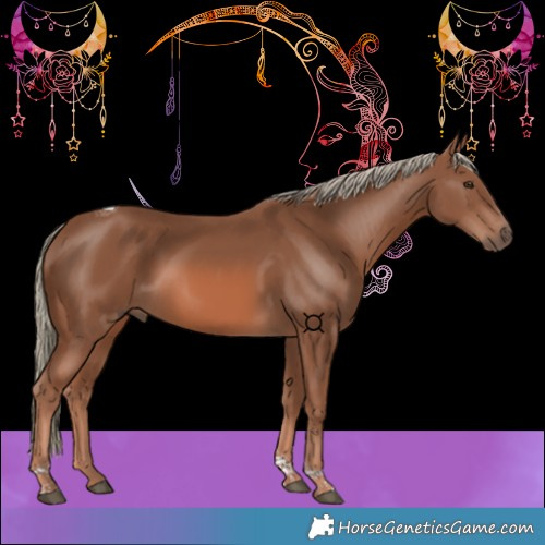 Horse Color:Chestnut Mushroom Tobiano 