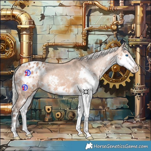 Horse Color:Silver Bay Splash Appaloosa