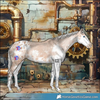 Horse Color:Silver Bay Splash Appaloosa 