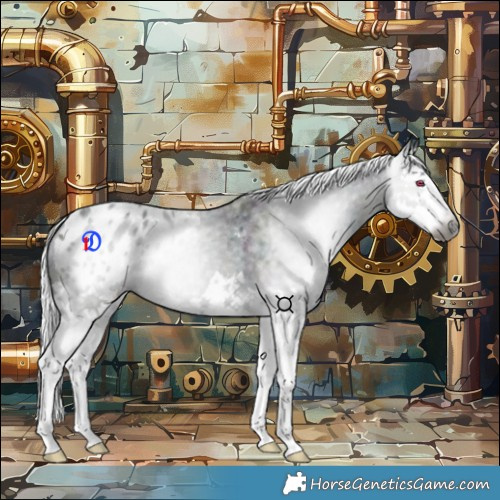 Horse Color:Gray Midnight Chestnut Chinchilla Ice Splash Appaloosa