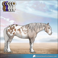Horse Color:White Spotted Silver Brown Dun Blanket 