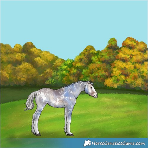 Horse Color:White Spotted Silver Blue Onyx Ice 