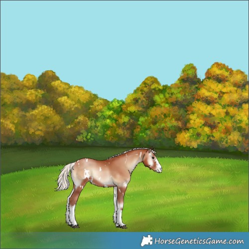 Horse Color:White Spotted Silver Blue Onyx Pearl 