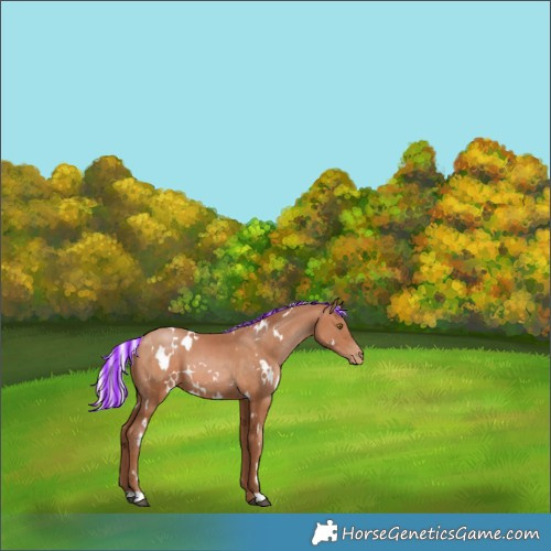 Horse Color:Painted White Spotted Silver Brown Pearl 
