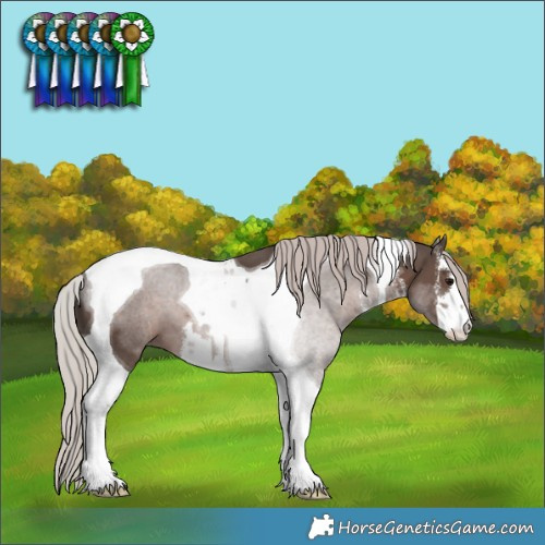 Horse Color:White Spotted Silver Black Tobiano 