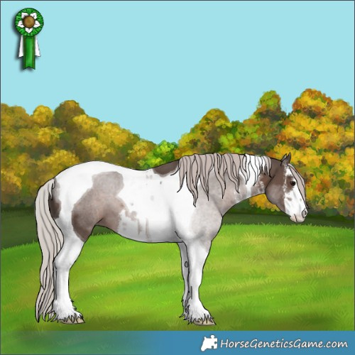 Horse Color:White Spotted Silver Black Tobiano 