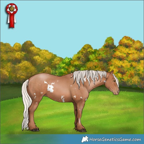 Horse Color:White Spotted Silver Brown Pearl 