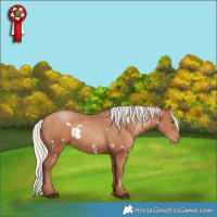 Horse Color:White Spotted Silver Brown Pearl 