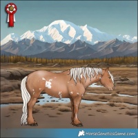 Horse Color:White Spotted Silver Brown Pearl