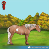 Horse Color:White Spotted Silver Brown Pearl 