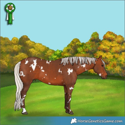 Horse Color:White Spotted Silver Brown 