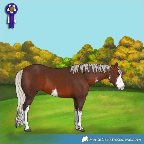Horse Color:White Spotted Silver Brown 