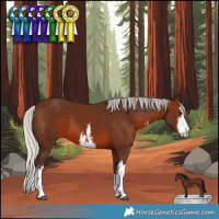 Horse Color:White Spotted Silver Brown 