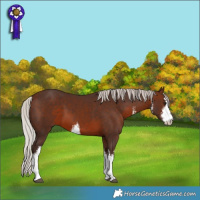 Horse Color:White Spotted Silver Brown 