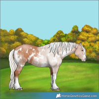 Horse Color:White Spotted Silver Black Pearl Sabino 