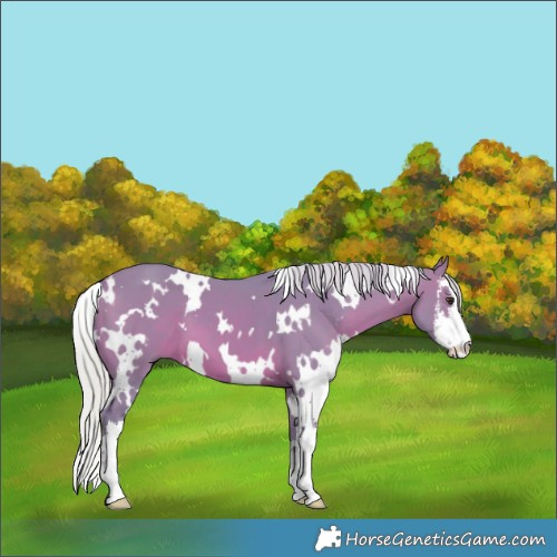Horse Color:Watercolor White Spotted Silver Brown 