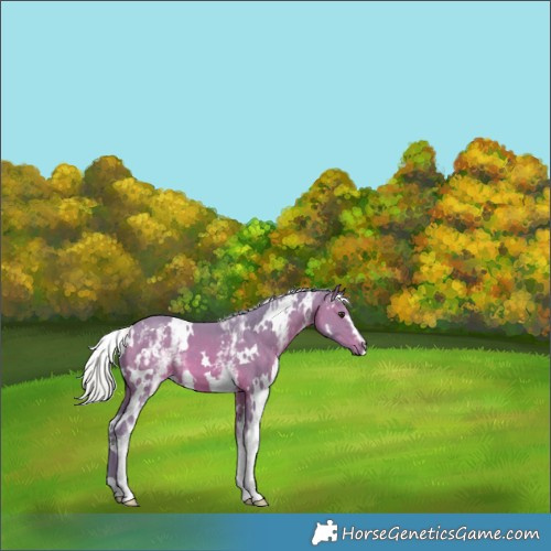 Horse Color:Watercolor White Spotted Silver Brown 