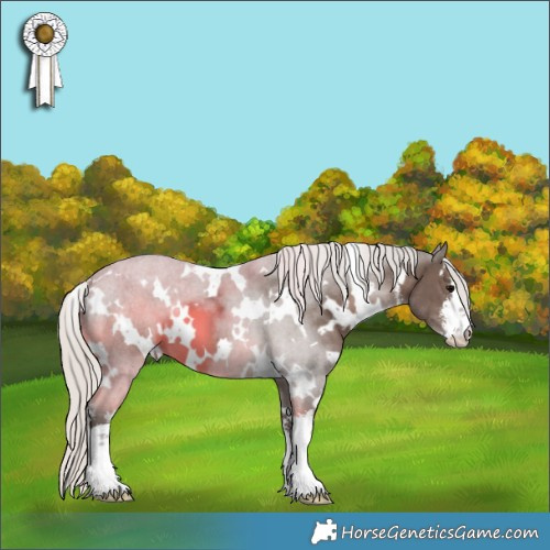 Horse Color:White Spotted Silver Black 