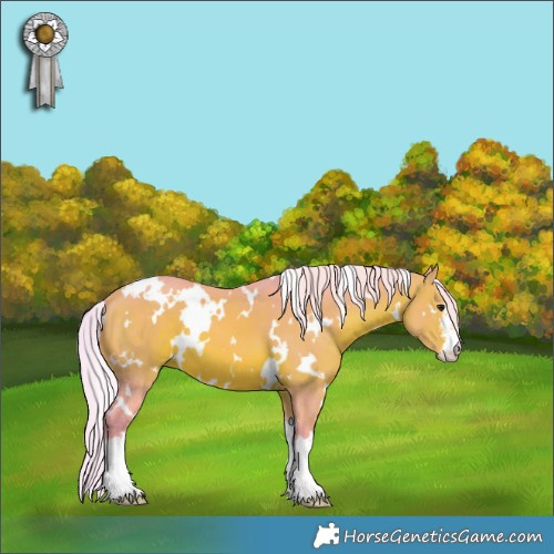 Horse Color:Watercolor White Spotted Silver Brown 