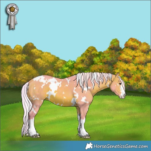 Horse Color:Watercolor White Spotted Silver Brown 