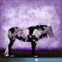Horse Color:Watercolor White Spotted Silver Black Ice Pearl Tobiano 