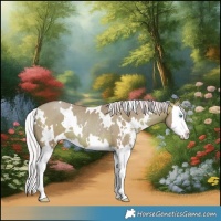 Horse Color:Watercolor White Spotted Silver Brown Pearl Sabino Splash Rabicano