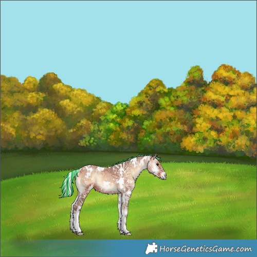 Horse Color:Painted White Spotted Silver Brown Ice Onyx 