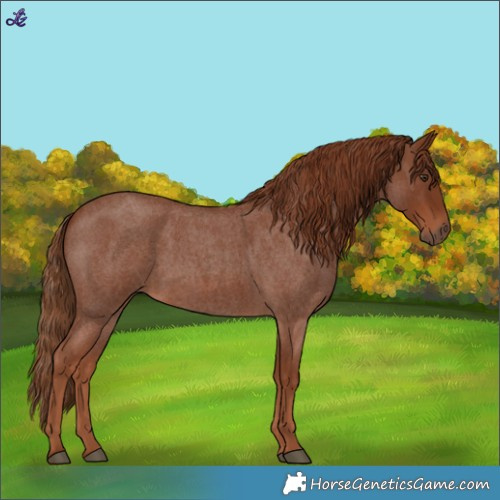 Horse Color:Red Roan