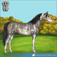Horse Color:Buckskin Sabino 
