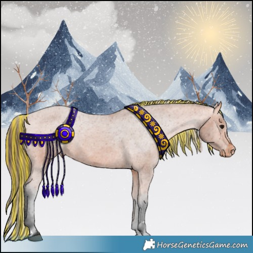 Horse Color:Painted Bay Appaloosa 