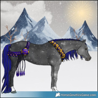 Horse Color:Painted Black 