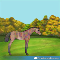 Horse Color:Nacre Bay 