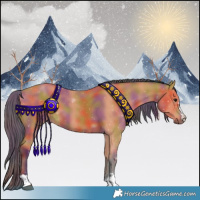 Horse Color:Nacre Bay 