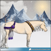 Horse Color:Silver Buckskin Appaloosa 