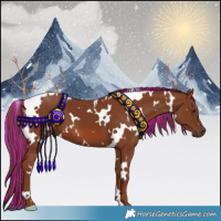 Horse Color:Painted White Spotted Chestnut