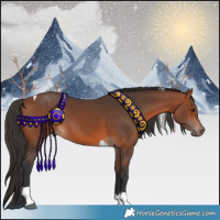 Horse Color:Bay Tobiano 