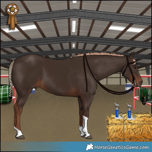Horse Color:Liver Chestnut Tobiano 
