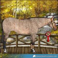 Horse Color:Bay Dun  and Bay Dun 