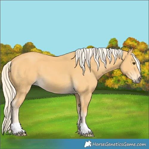 Horse Color:Palomino