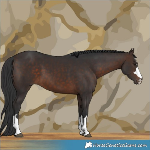 Horse Color:Brown 