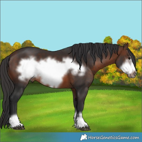 Horse Color:Brown Frame 